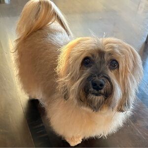 Meet your Posher, Cali